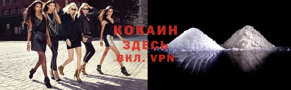круглые Няндома