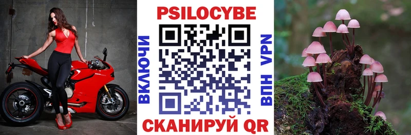 купить закладку Изобильный Псилоцибиновые грибы мицелий