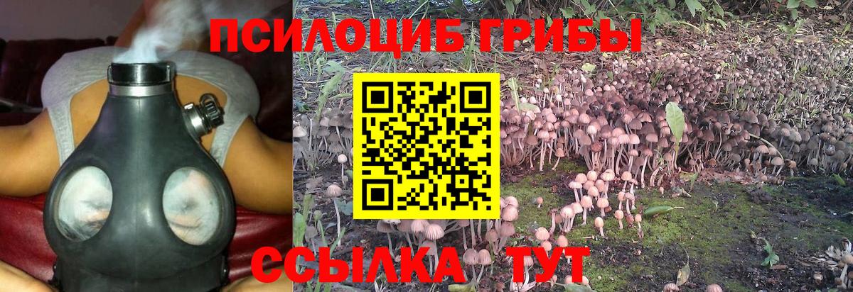 ГАШ Изобильный