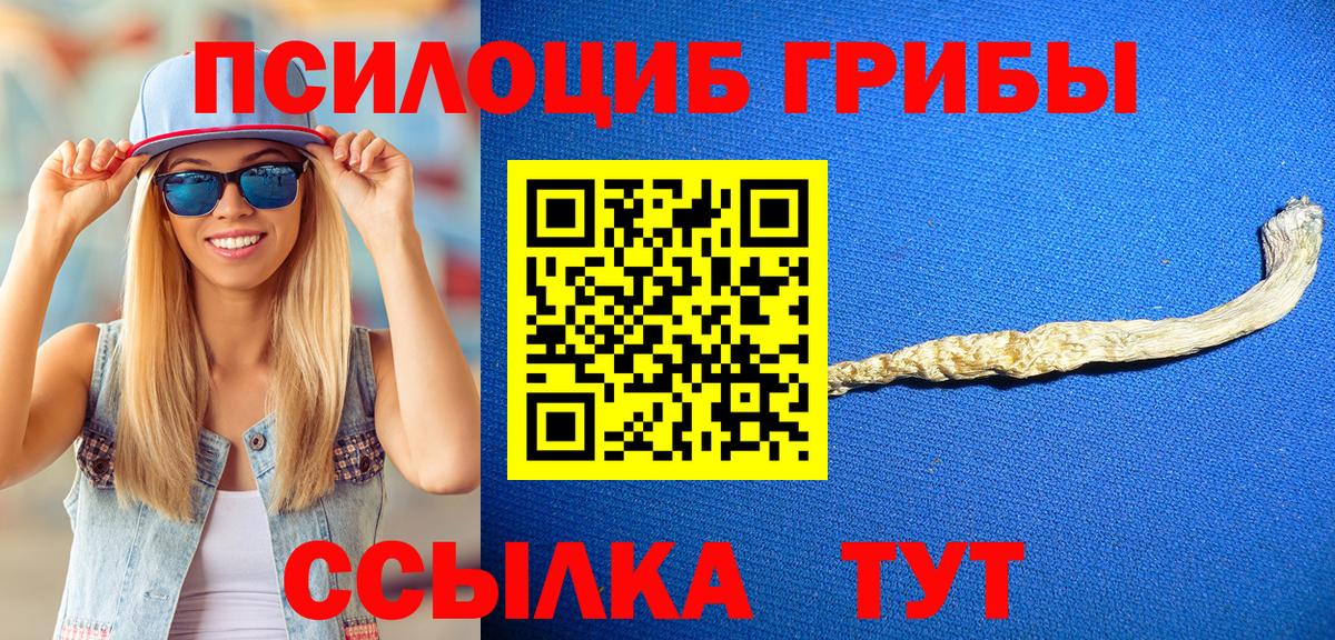 Псилоцибиновые грибы Psilocybine cubensis Изобильный