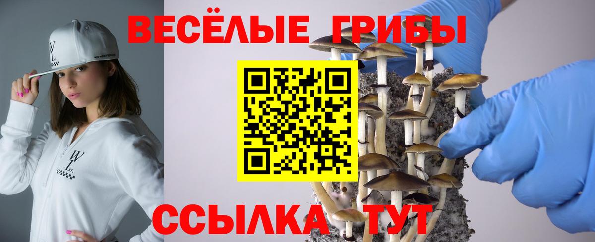 Изобильный  Галлюциногенные грибы прущие грибы  Псилоцибиновые грибы Cubensis  Вход с VPN 